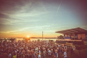 Dimensions-Festival-2015- Ross Silcocks - Entirety Labs2