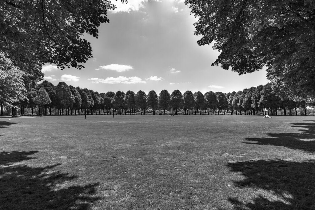 bevrijdingsfestival