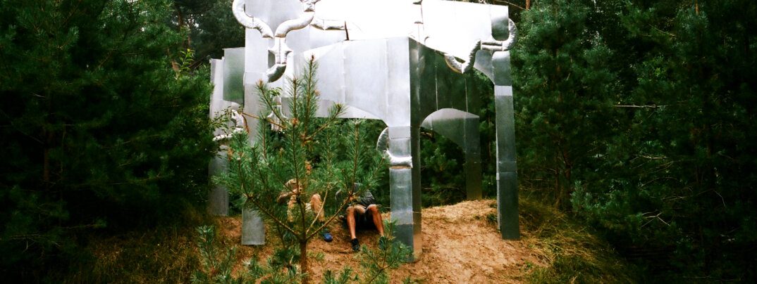 Draaimolen Festival hét festival dat je niet mag missen