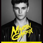 Martin Garrix and friends