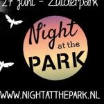 Night at the Park