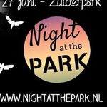 Night at the Park