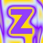 Zomerparkfeest