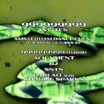 ADE: Intercell X 999999999 Invites