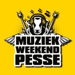 Muziekweekend Pesse