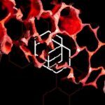 ADE: Intercell x Chlär Invites
