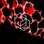 ADE: Intercell x Chlär Invites
