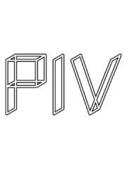 PIV Kingsnight