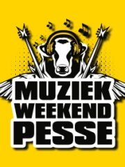 Muziekweekend Pesse