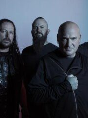 Disturbed