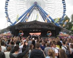 Report: Out of control festival