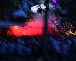 Georgie’s Wundergarten