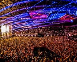 Report: Don’t Let Daddy Know (DLDK) 2016