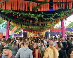 Report: Jungle Festival