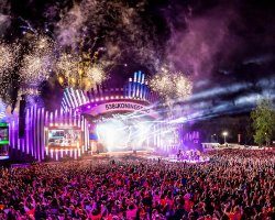 Report: 538 Koningsdag