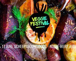 Van burgers tot biertjes: állemaal vegan op het Veggie Festival