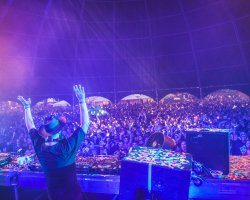 Report: Free Your Mind Festival 2018