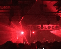 Report: Circoloco x Loveland ADE 2018