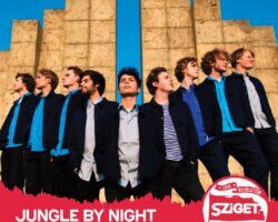 Bewonder Jungle By Night op Sziget