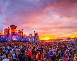 Report: Dreamfields 2019