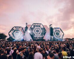 Report: STRAF_WERK 2019