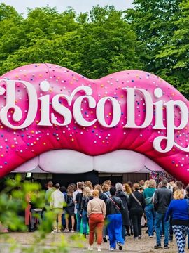 DiscoDip