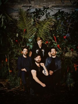 Foals
