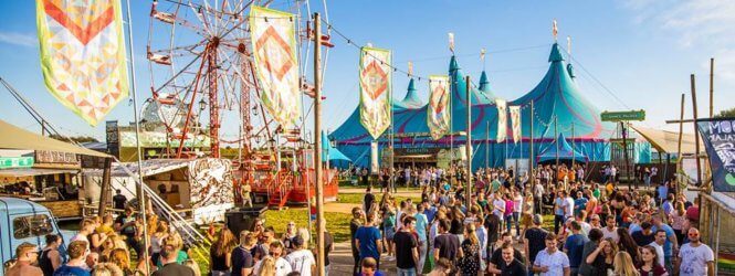 Report: FestyLand