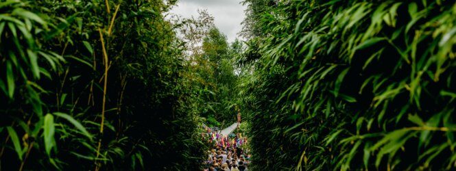 Report Wildeburg 2022: Dit is gewoon ons leven