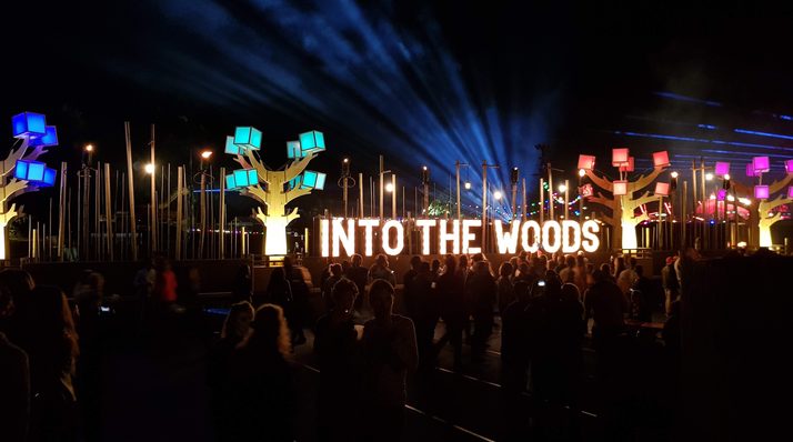 Report: Into the Woods 2018