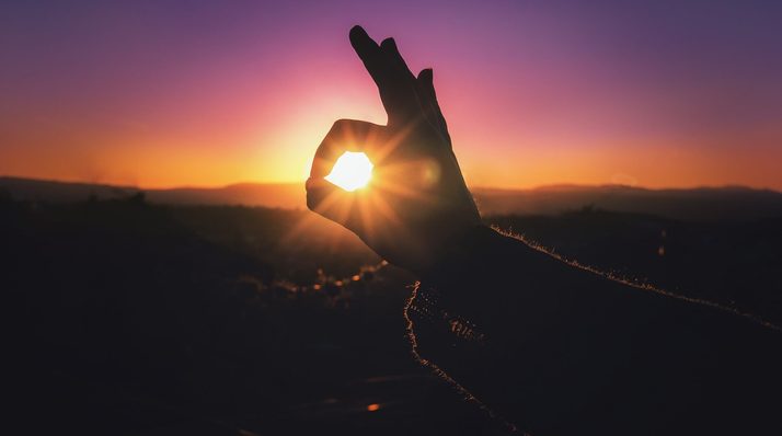 In quarantaine mét zon en zonder festivals, wat te doen?